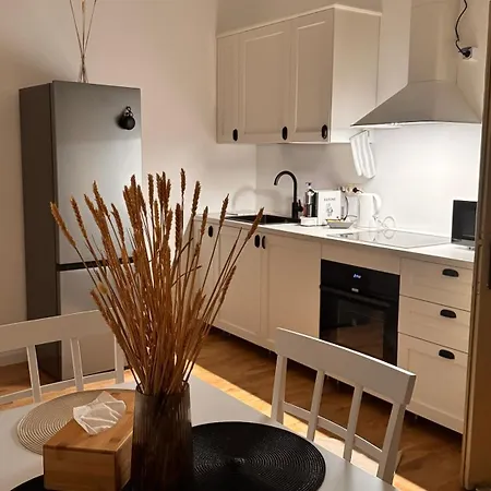 Gavas Urban Horea 公寓 克卢日-纳波卡