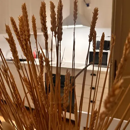 公寓 Gavas Urban Horea 克卢日-纳波卡