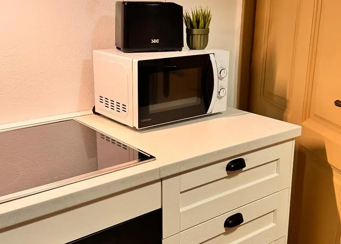 Apartament Gavas Urban Horea *