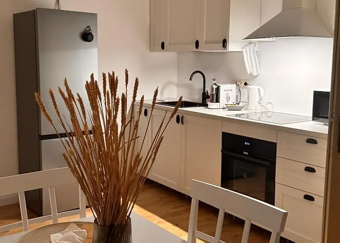 Gavas Urban Horea Apartment Cluj-Napoca