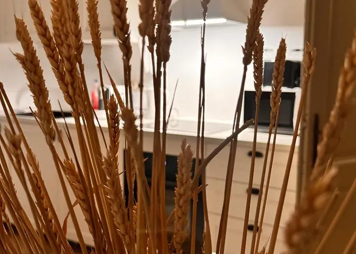 Apartment Gavas Urban Horea Cluj-Napoca